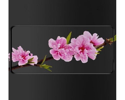 Захисне скло Vivo X27 Pro Full Cover (Mocolo 0.33 mm)