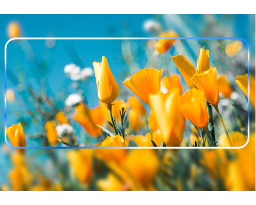 Захисне скло Oppo Reno 3 Pro 5G (Mocolo 0.33 mm)