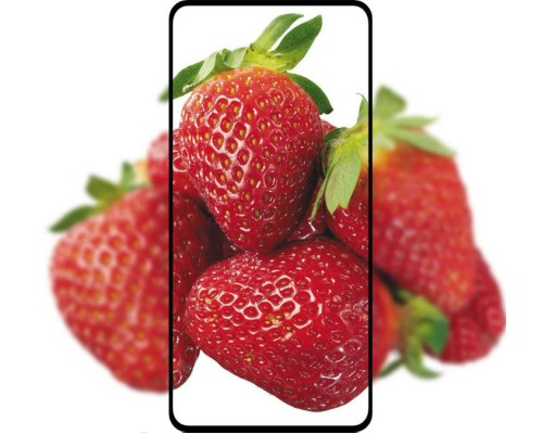 Захисне скло Xiaomi Redmi Note 9 Pro Full Cover (Mocolo 0.33 mm) Захисне скло Xiaomi Redmi Note 9 Pro Full Cover (Mocolo 0.33 mm)