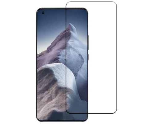 Захисне скло Xiaomi Mi 11 Ultra 3D Full Glue (Mocolo 0.33 mm)