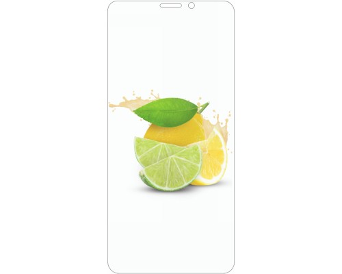Захисне скло Meizu M8 (Mocolo 0.33 mm) Захисне скло Meizu M8 (Mocolo 0.33 mm)