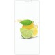 Захисне скло Meizu M8 (Mocolo 0.33 mm)