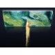 Захисне скло Oppo Find X2 Pro Full Glue 5D (Mocolo 0.33 mm)